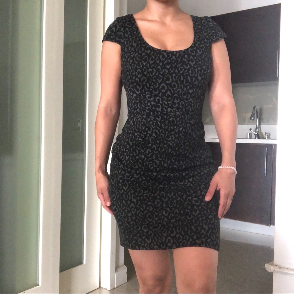 Ann Taylor Dress